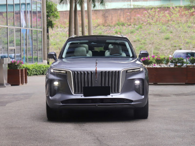 HongQi E-HS9  Фото №2
